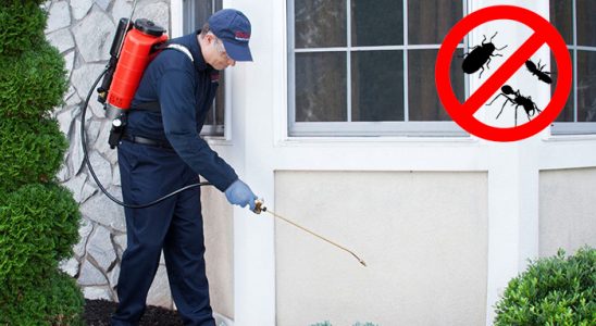 Gaziosmanpaşa Gümüşkurt İlaçlama böcek ilaçlama ve haşere kontrolü — ilaclama-tr.com